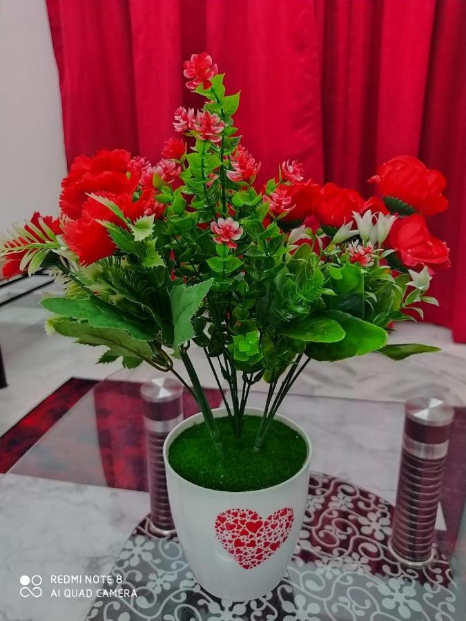 Pd Laguna Homestay Red Порт-Діксон Екстер'єр фото